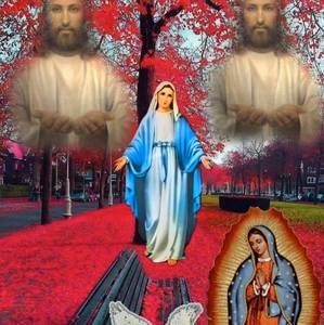 Meet your Posher, Dina